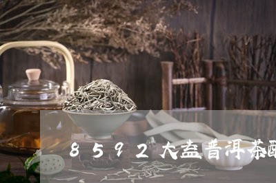 8592大益普洱茶配方/2023081748428