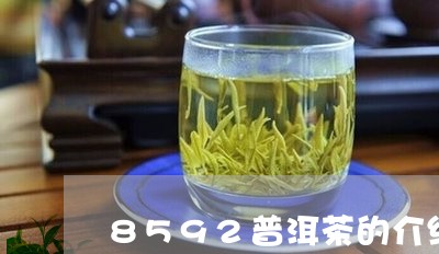 8592普洱茶的介绍/2023080261626