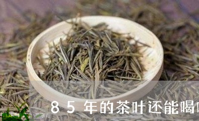 85年的茶叶还能喝吗/2023092249692