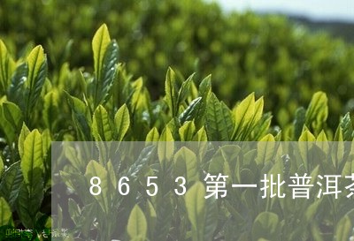 8653第一批普洱茶/2023062802867