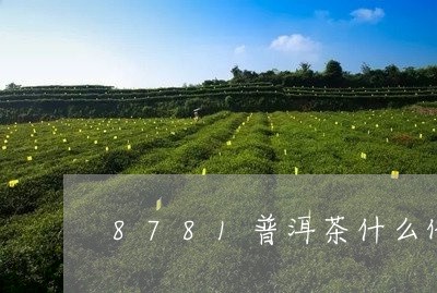 8781普洱茶什么价/2023080394827