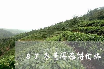 87年普洱茶饼价格/2023091590694