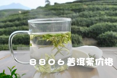 8806普洱茶价格/2023091492726