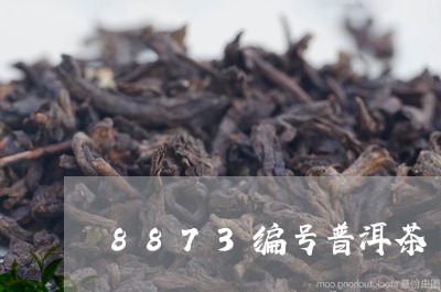 8873编号普洱茶/2023091484939