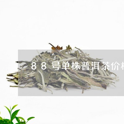 88号单株普洱茶价格/2023062937139