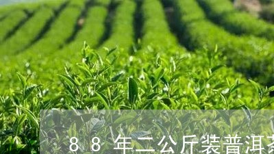 88年二公斤装普洱茶/2023092824249