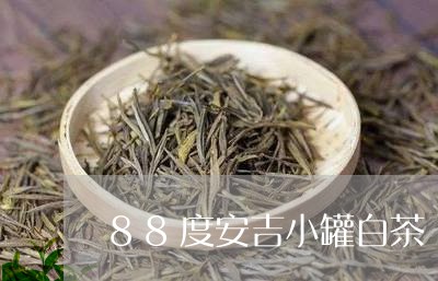 88度安吉小罐白茶/2023121581717