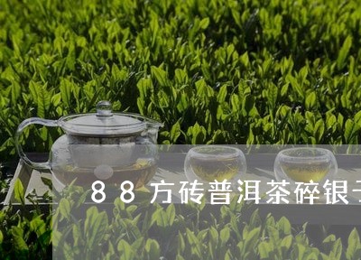 88方砖普洱茶碎银子和普洱茶/2023053019371