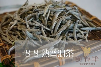 88熟普洱茶/2023042988968