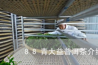 88青大益普洱茶介绍/2023062202636