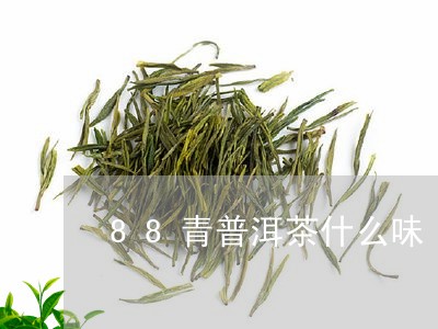 88青普洱茶什么味/2023112408370