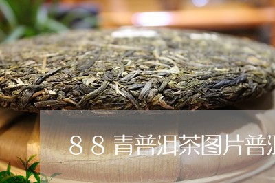 88青普洱茶图片普洱生茶88青砖/2023060301614