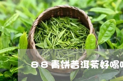 88青饼普洱茶好喝吗/2023072467360