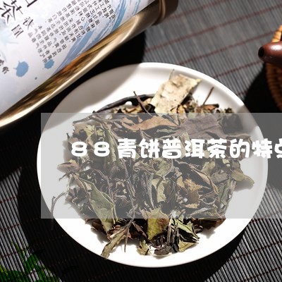 88青饼普洱茶的特点/2023092821693