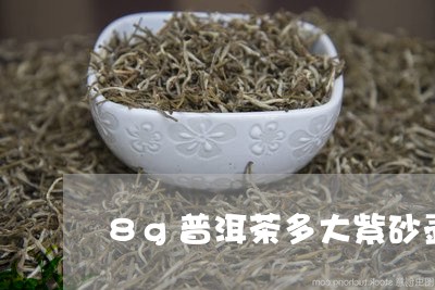 8g普洱茶多大紫砂壶/2023120625046