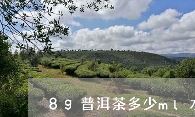 8g普洱茶多少ml水/2023072374826