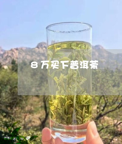 8万买下普洱茶/2023112604150