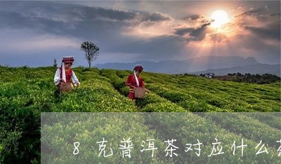 8克普洱茶对应什么茶好/2023082879583