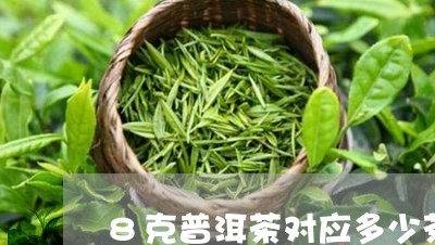 8克普洱茶对应多少茶叶/2023082786059