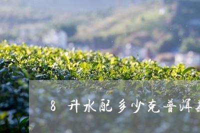 8升水配多少克普洱茶比较好/2023110525048