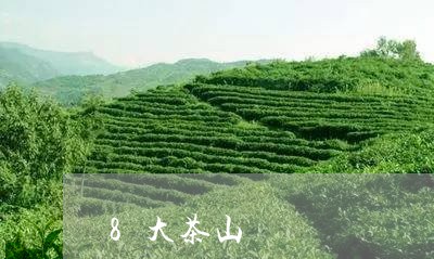 8大茶山/2023110903725