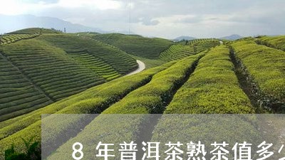 8年普洱茶熟茶值多少钱/2023081440371