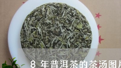 8年普洱茶的茶汤图片/2023062301717