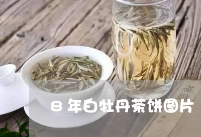 8年白牡丹茶饼图片/2023121370395