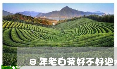 8年老白茶好不好泡水/2023092725920