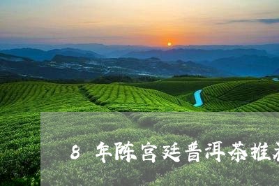 8年陈宫廷普洱茶推荐/2023072485048