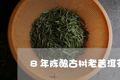 8年陈酿古树老普洱茶/2023062133717