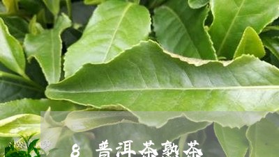 8普洱茶熟茶/2023042850213