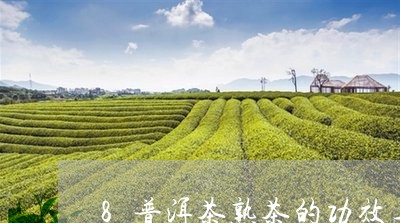 8普洱茶熟茶的功效与作用/2023082794949