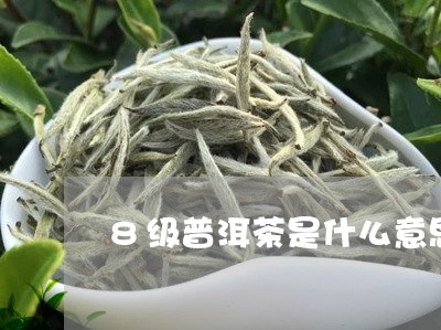 8级普洱茶是什么意思/2023072134815