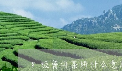 8级普洱茶饼什么意思/2023092829393