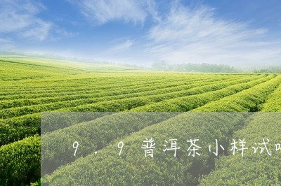 9.9普洱茶小样试喝/2023080363936