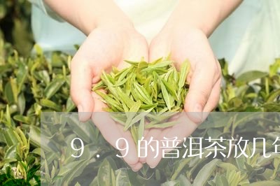 9.9的普洱茶放几年/2023062814950