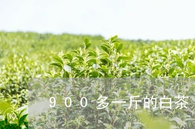 900多一斤的白茶/2023121583716