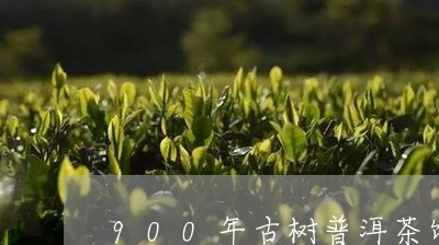 900年古树普洱茶饼/2023073102026