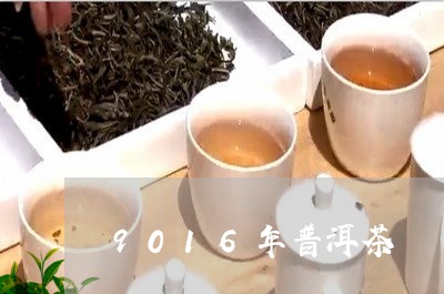 9016年普洱茶/2023120465847