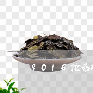 9016沱茶现在价格/2023071525272