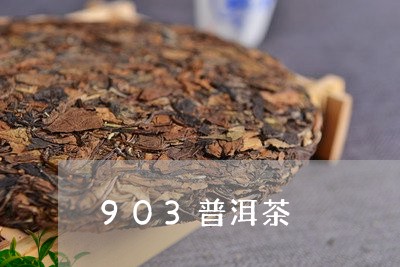 903普洱茶/2023042876784