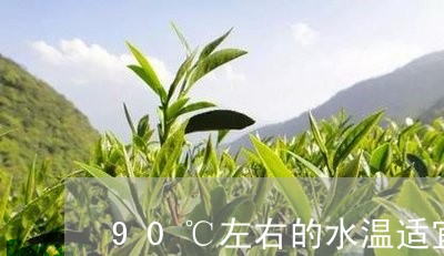 90℃左右的水温适宜冲泡的茶类是/2023060485079