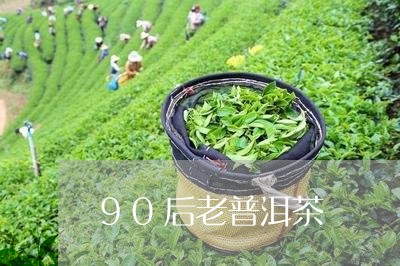 90后老普洱茶/2023120390513