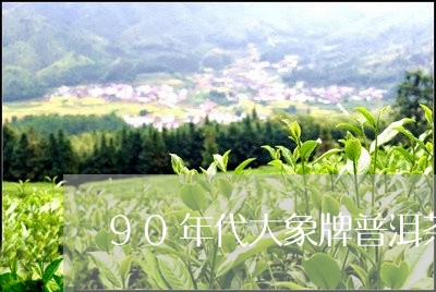 90年代大象牌普洱茶价格/2023112505936