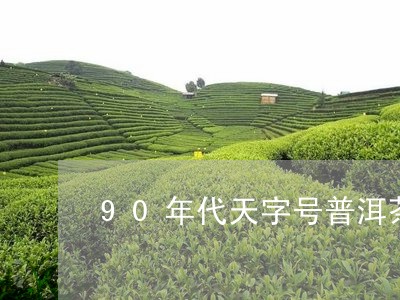 90年代天字号普洱茶/2023092815947