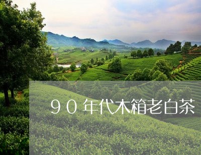 90年代木箱老白茶/2023071346470