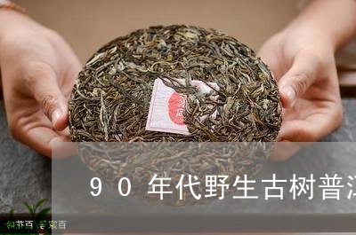 90年代野生古树普洱茶/2023102481827