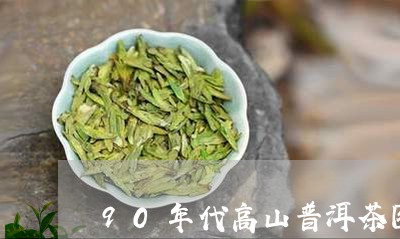 90年代高山普洱茶图片/2023120720705