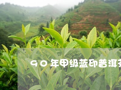 90年甲级蓝印普洱茶/2023080227379